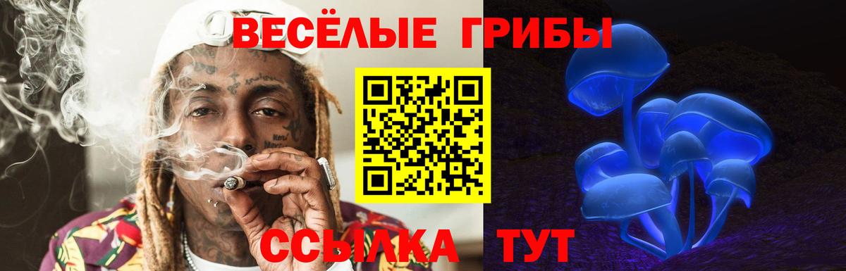 Лесозаводск  Псилоцибиновые грибы ЛСД  Галлюциногенные грибы прущие грибы  Вход с VPN 